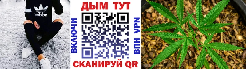 Наркотические вещества Лесной APVP  Конопля  Мефедрон  ГАШИШ 