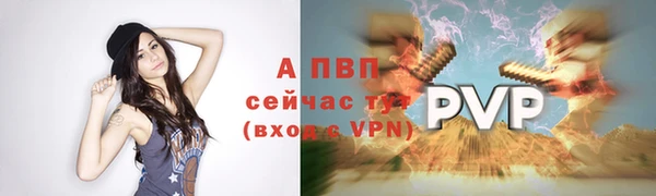 стафф Баксан
